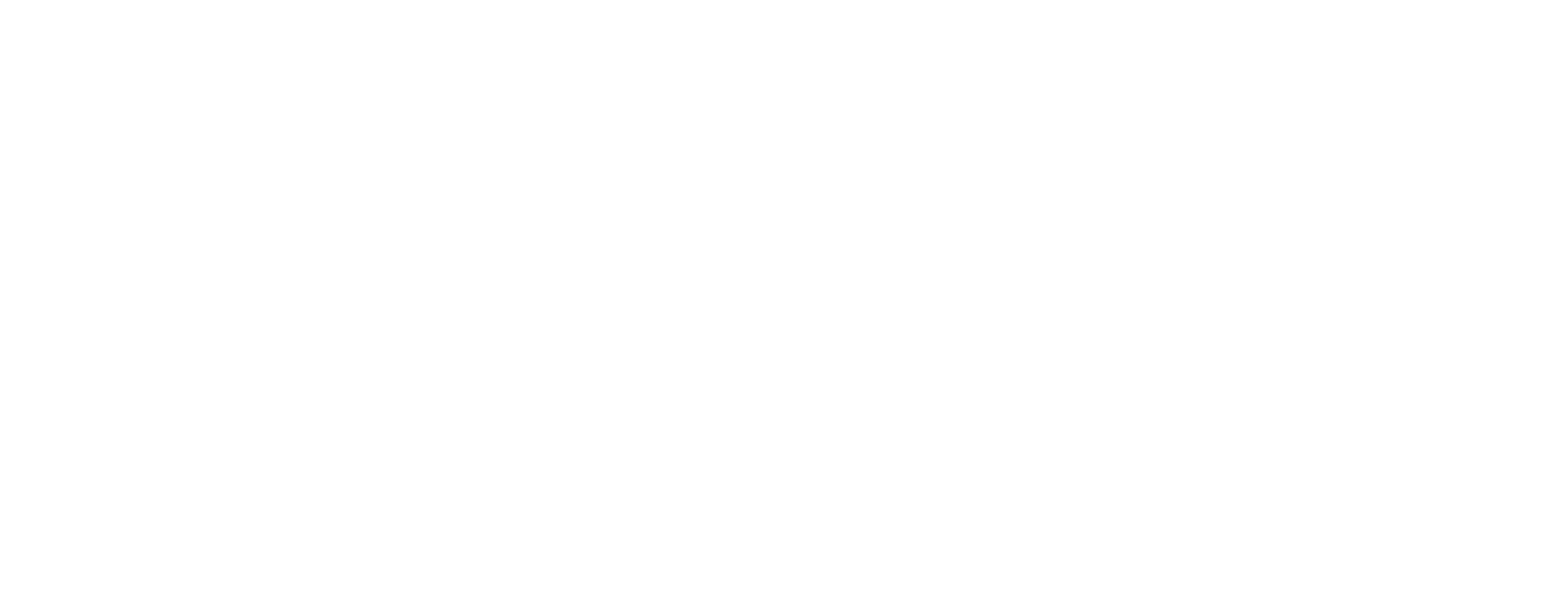 Travellers Group
